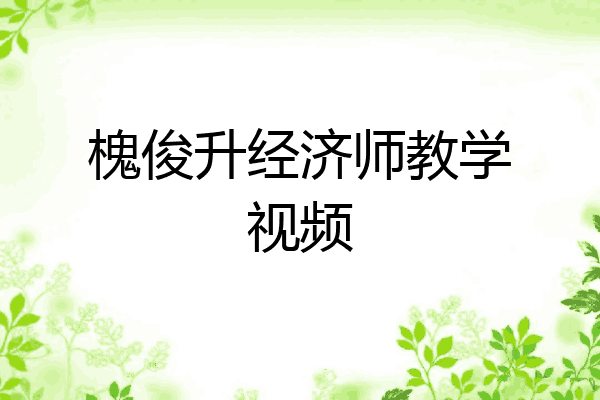 槐俊升经济师教学视频