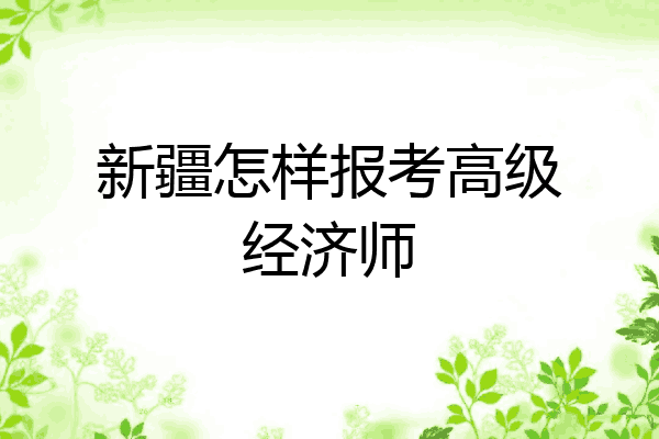 新疆怎样报考高级经济师