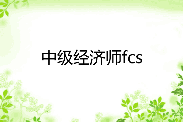 中级经济师fcs