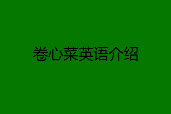 卷心菜英语介绍