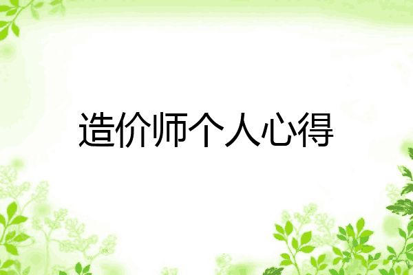 造价师个人心得