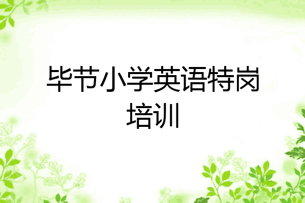 毕节小学英语特岗培训