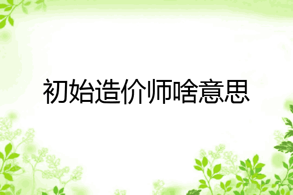 初始造价师啥意思