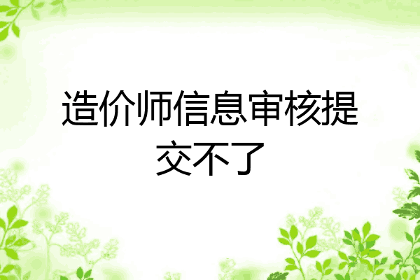 造价师信息审核提交不了