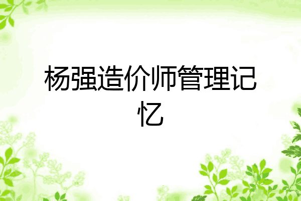 杨强造价师管理记忆
