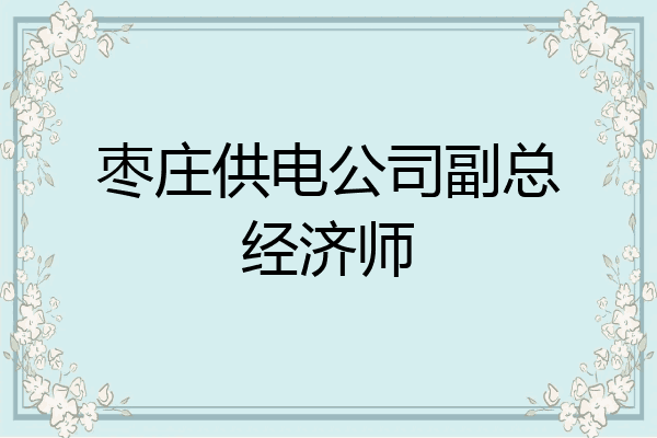 枣庄供电公司副总经济师