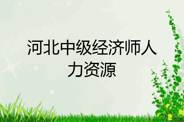 河北中级经济师人力资源