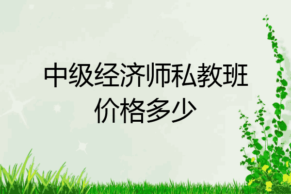 中级经济师私教班价格多少