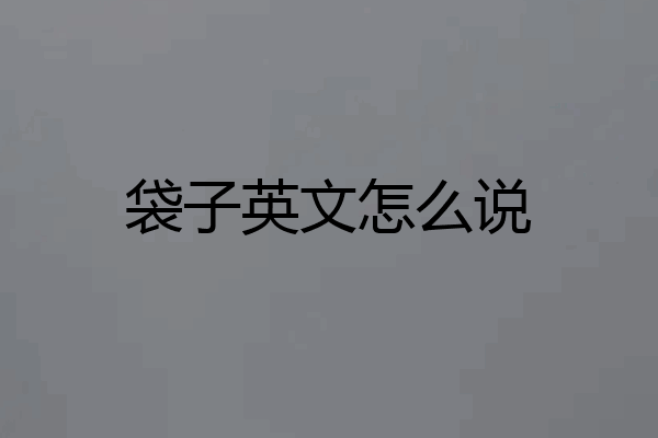 袋子英文怎么说
