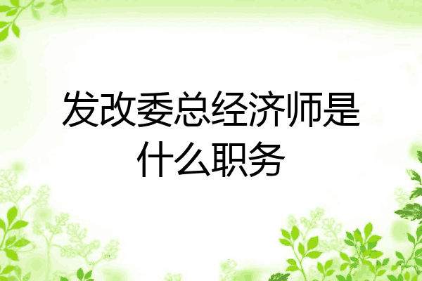发改委总经济师是什么职务