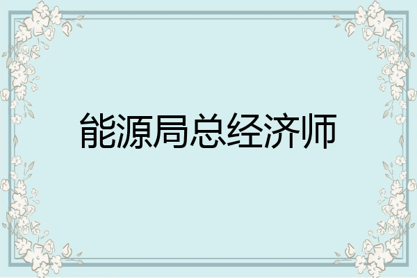 能源局总经济师