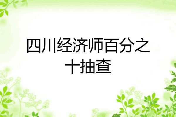 四川经济师百分之十抽查