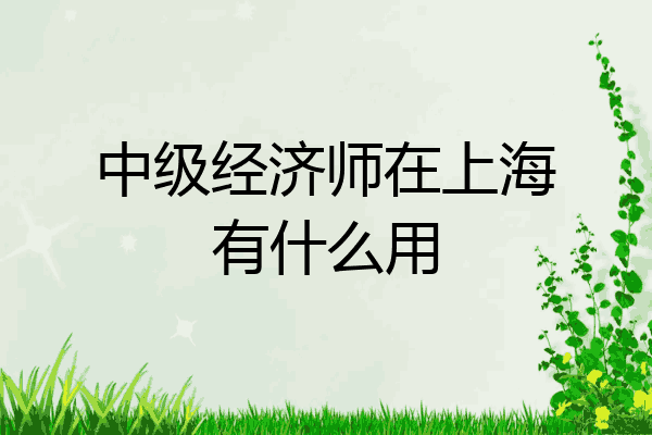 中级经济师在上海有什么用