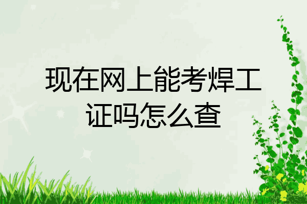 现在网上能考焊工证吗怎么查