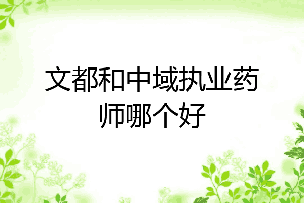 文都和中域执业药师哪个好