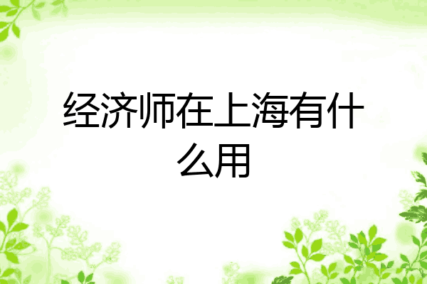 经济师在上海有什么用