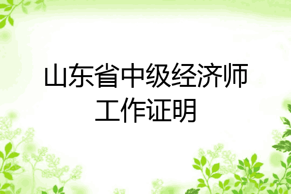 山东省中级经济师工作证明