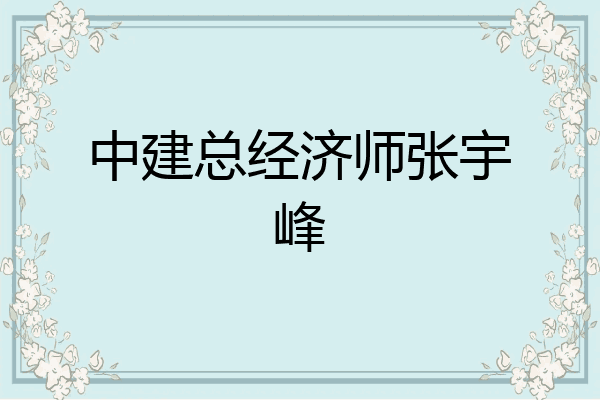 中建总经济师张宇峰