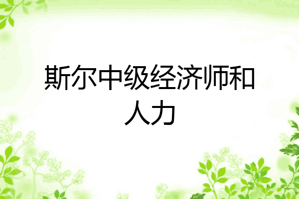 斯尔中级经济师和人力