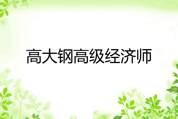 高大钢高级经济师