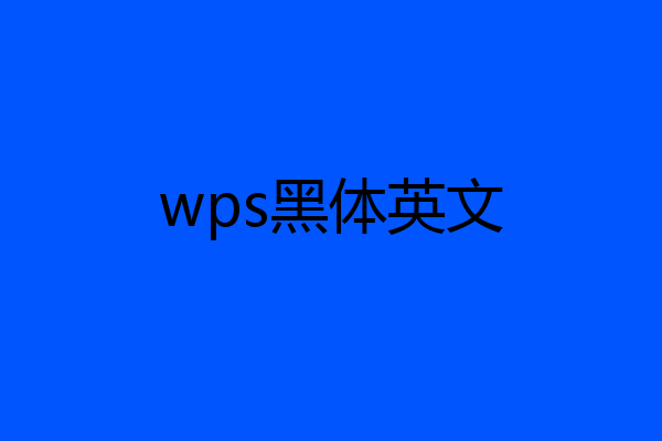 wps黑体英文
