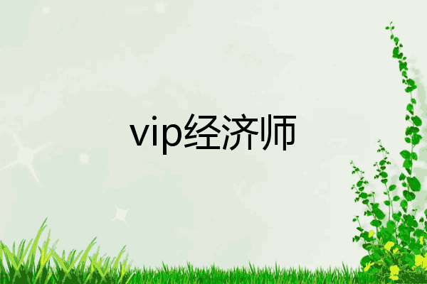 vip经济师
