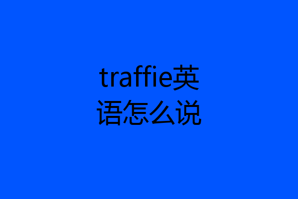 traffie英语怎么说