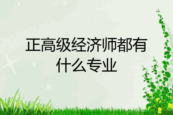 正高级经济师都有什么专业