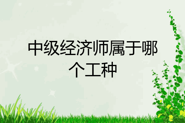 中级经济师属于哪个工种