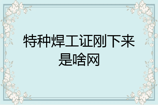 特种焊工证刚下来是啥网