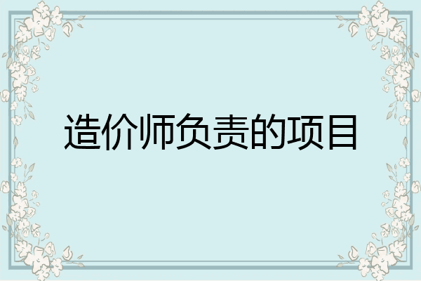 造价师负责的项目