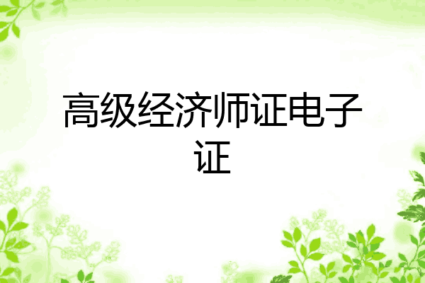 高级经济师证电子证