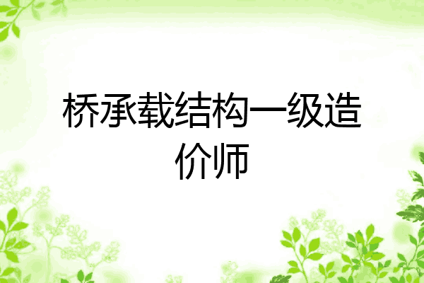 桥承载结构一级造价师
