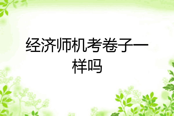 经济师机考卷子一样吗