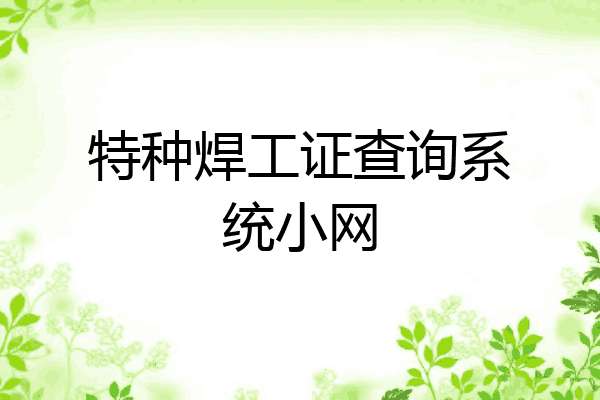 特种焊工证查询系统小网