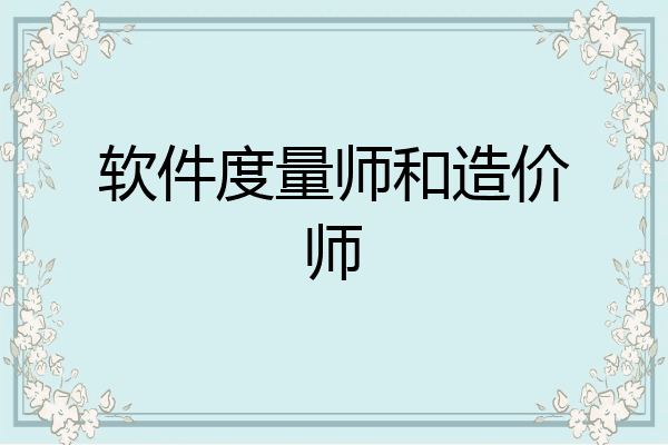 软件度量师和造价师