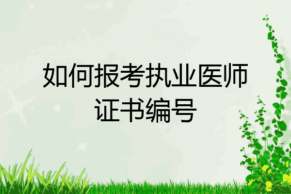 如何报考执业医师证书编号