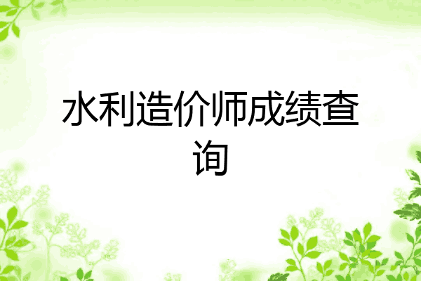 水利造价师成绩查询
