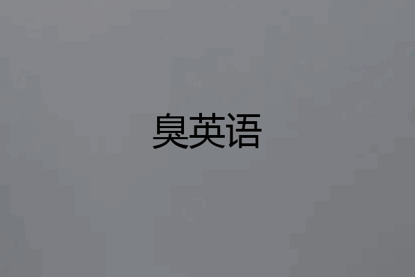 臭英语