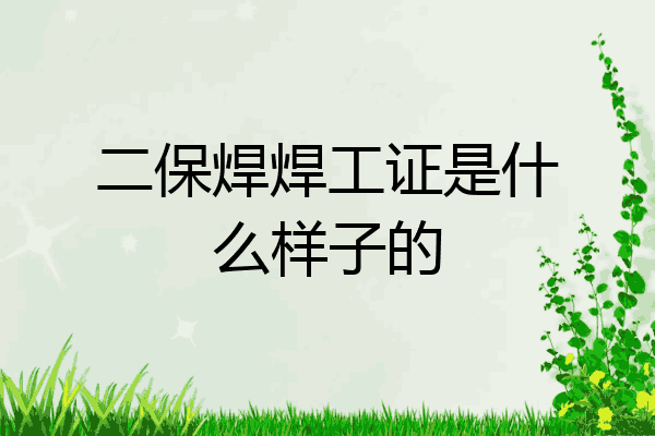 二保焊焊工证是什么样子的