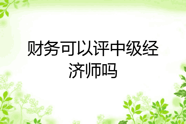 财务可以评中级经济师吗