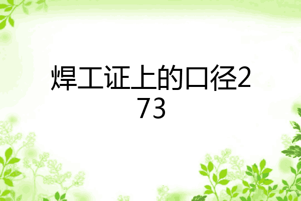 焊工证上的口径273