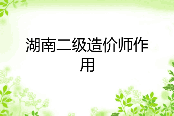 湖南二级造价师作用