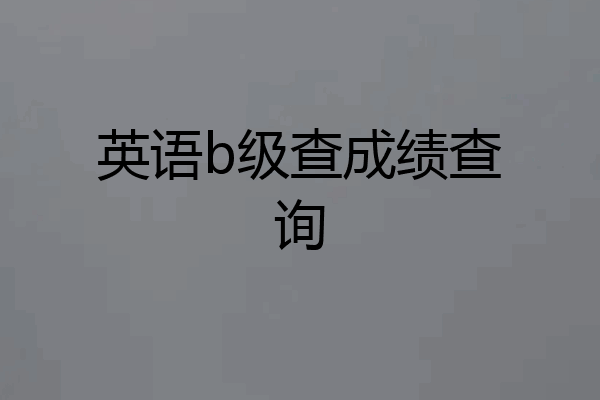 英语b级查成绩查询