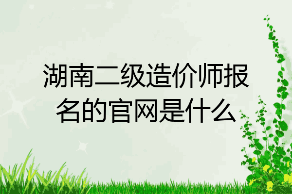 湖南二级造价师报名的官网是什么