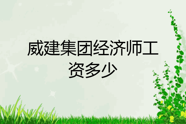 威建集团经济师工资多少