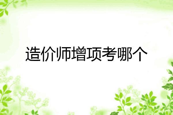 造价师增项考哪个