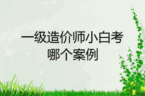 一级造价师小白考哪个案例