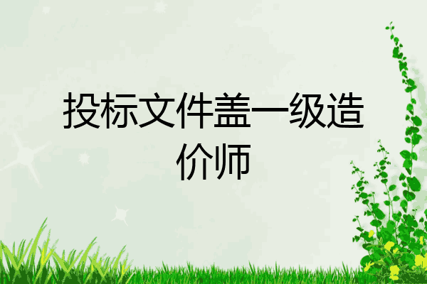 投标文件盖一级造价师