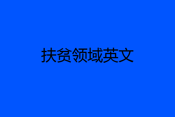 扶贫领域英文